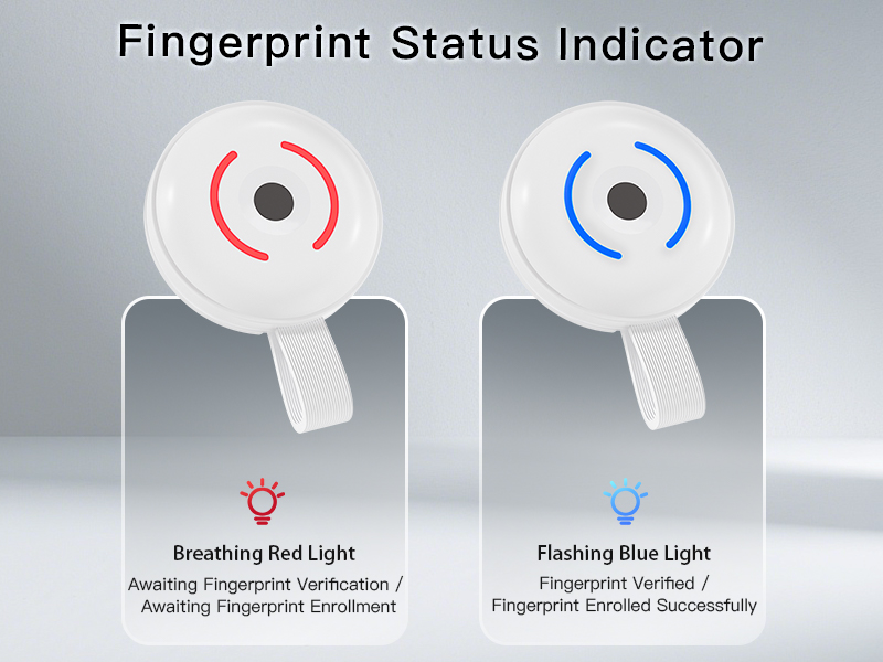 Magnetic Fingerprint Encryption SSD USB Flash Drive for iOS Android USB3.2