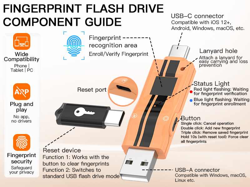 NK-843 Pure Hardware Fingerprint Encrypted USB Flash Drive with USB-A & USB-C Dual Interface, Driver-Free Plug and Play